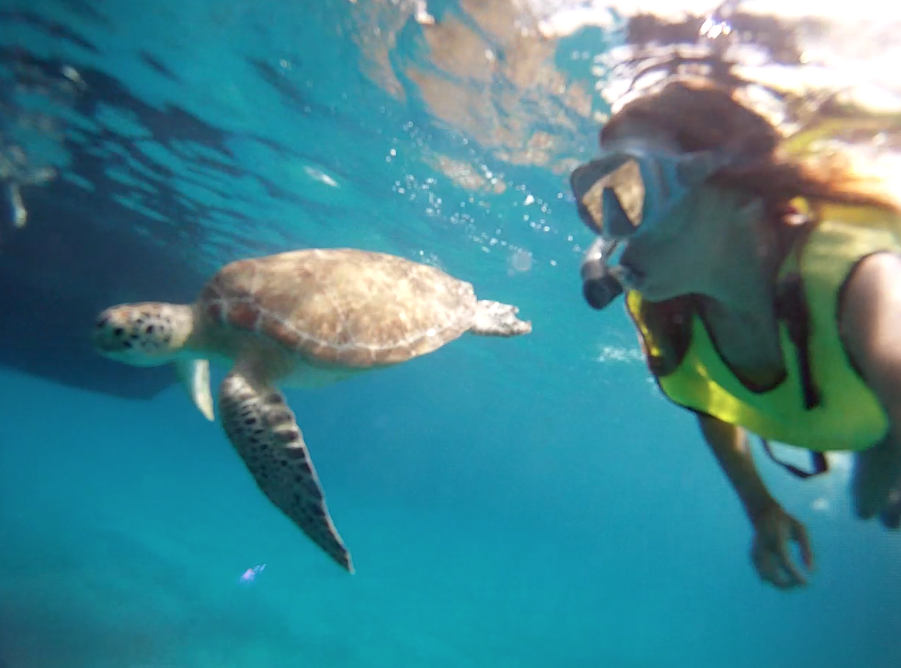 Screen Shot 2013-06-09 at 1.06.13 PM